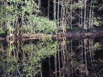 Spiegelunegn am kleinen See