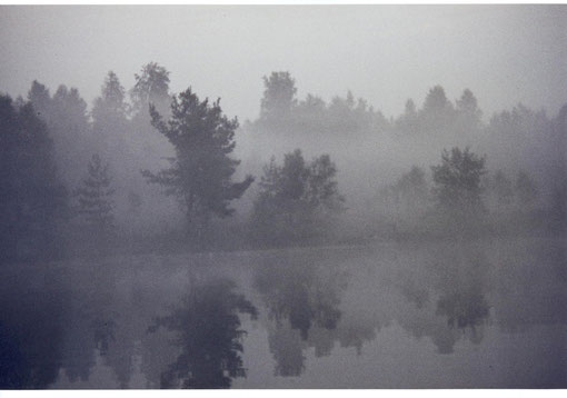 Nebellandschaft am See