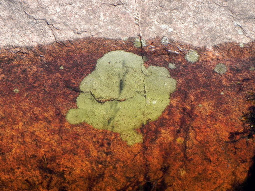 Farben udn Formen in Wasser und Stein