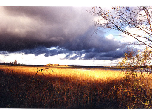 Herbst in Schweden