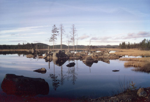 Stille 1
